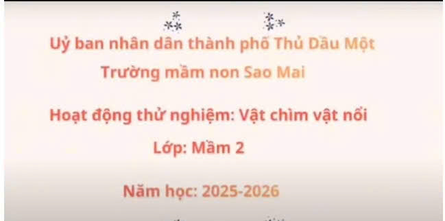 Thí nghiệm: Vật chìm - vật nổi (Mầm 2)
